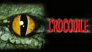 Cocodrilo — foto 10