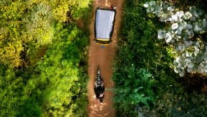 கொட்டுக்காளி — foto 2