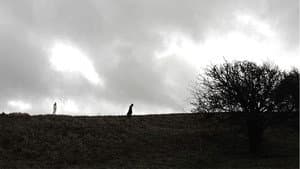 Follow the Crows — foto 1