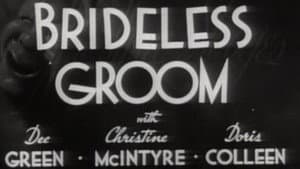 Brideless Groom — foto 1