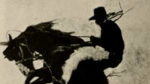 The Millionaire Cowboy — foto 1