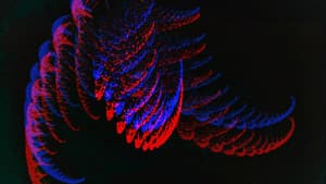 Samambaia — foto 1