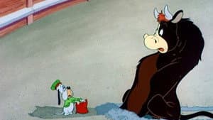 Señor Droopy — foto 1