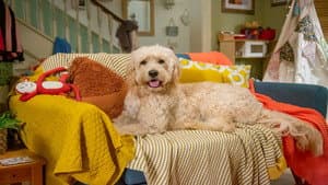 Biff and Chip — foto 2