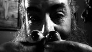 O Estranho Mundo de Zé do Caixão — foto 1