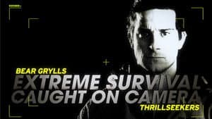 Bear Grylls: Extreme Survival Caught on Camera — foto 3