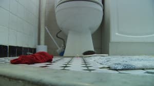 Marcel the Shell with Shoes On — foto 2