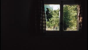 Tres tristes tigres — foto 4