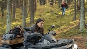 Episodio 6