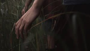 A Moment in the Reeds — foto 7