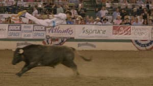 Bull Jumping — foto 4