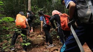 The Mountain — foto 8