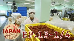 Episodio 13