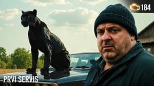 Episodio 184