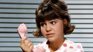 Gidget — foto 1