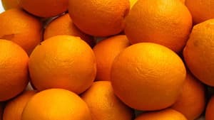 The Orange Man — foto 3
