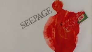 Seepage — foto 2