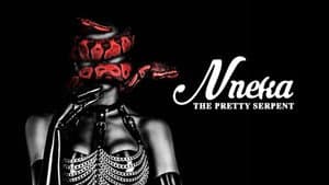 Nneka the Pretty Serpent — foto 3