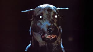 Dracula's Dog — foto 4