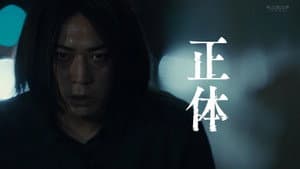 正体 — foto 2
