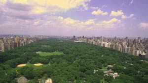 Olmsted and America's Urban Parks — foto 1