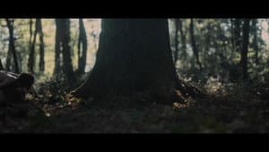 Truffle — foto 5