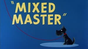 Mixed Master — foto 1