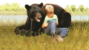 Gentle Ben — foto 2