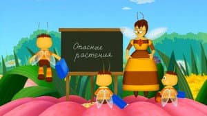 Episodio 10