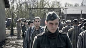 El Tatuador de Auschwitz — foto 7