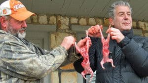 Episodio 5