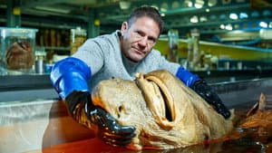 Shark with Steve Backshall — foto 6