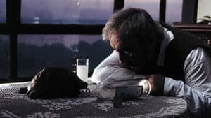 Aşk Filmlerinin Unutulmaz Yönetmeni — foto 1