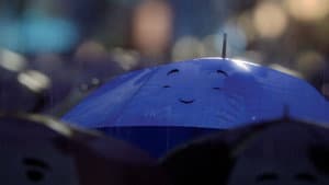 The Blue Umbrella — foto 5