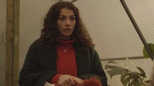 Singulars — foto 1
