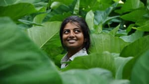 கயல் — foto 1