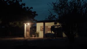 Audio y el Caimán — foto 4