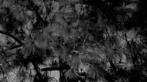 city of angels — foto 1