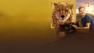 Cheetahs Up Close with Bertie Gregory — foto 6