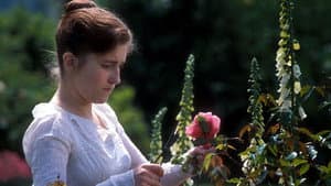 Mansfield Park — foto 3