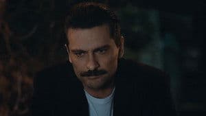 Episodio 15