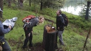 Episodio 5