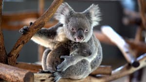 Escape from Extinction — foto 3