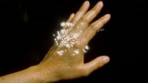 Servidumbres de la luz — foto 1