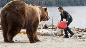 Into the Grizzly Maze — foto 5