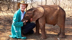 Paul O'Grady's Animal Orphans — foto 1
