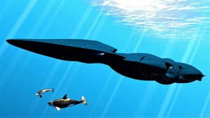 seaQuest DSV — foto 4