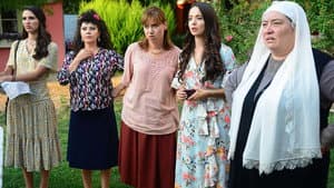 Episodio 5