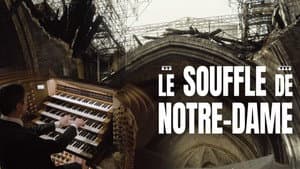 Le souffle de Notre-Dame — foto 1