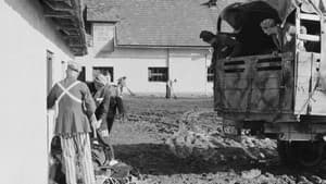 L'Enclos — foto 2